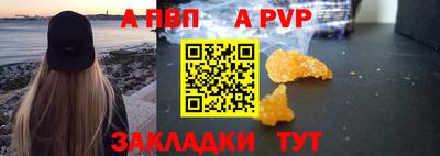стаф Канаш