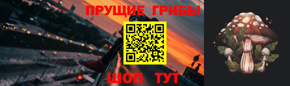 Псилоцибиновые грибы прущие грибы Горячий Ключ